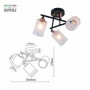 Люстра на штанге Rivoli Fiona Б0059259 в Покачах - pokachi.mebel24.online | фото