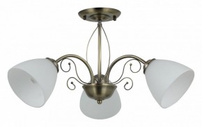 Люстра на штанге Rivoli Sue Б0060985 в Покачах - pokachi.mebel24.online | фото