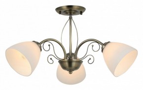 Люстра на штанге Rivoli Sue Б0060985 в Покачах - pokachi.mebel24.online | фото 2