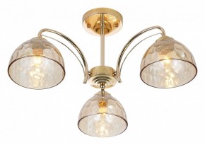 Люстра на штанге Rivoli Terri Б0060988 в Покачах - pokachi.mebel24.online | фото