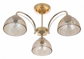 Люстра на штанге Rivoli Terri Б0060988 в Покачах - pokachi.mebel24.online | фото 2