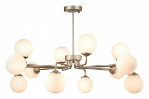 Люстра на штанге ST-Luce Redjino SLE106203-12 в Покачах - pokachi.mebel24.online | фото 2