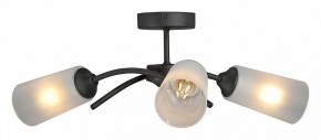Люстра на штанге Vitaluce V2850 V2850-1/3PL в Покачах - pokachi.mebel24.online | фото