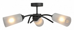 Люстра на штанге Vitaluce V2850 V2850-1/3PL в Покачах - pokachi.mebel24.online | фото 3