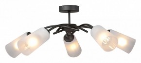 Люстра на штанге Vitaluce V2850 V2850-1/5PL в Покачах - pokachi.mebel24.online | фото