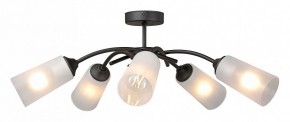 Люстра на штанге Vitaluce V2850 V2850-1/5PL в Покачах - pokachi.mebel24.online | фото 3