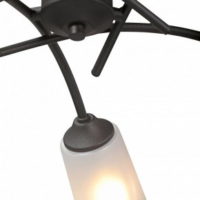 Люстра на штанге Vitaluce V2850 V2850-1/5PL в Покачах - pokachi.mebel24.online | фото 6
