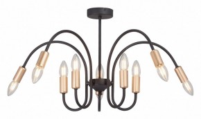 Люстра на штанге Vitaluce V3026 V3026-1/10PL в Покачах - pokachi.mebel24.online | фото 2