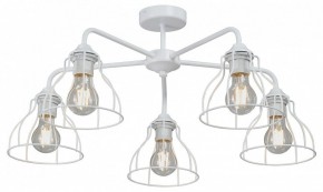 Люстра на штанге Vitaluce V3102 V3102-0/5PL в Покачах - pokachi.mebel24.online | фото
