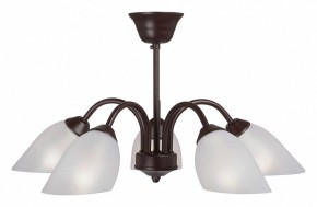 Люстра на штанге Vitaluce V3335 V3335-7/5PL в Покачах - pokachi.mebel24.online | фото
