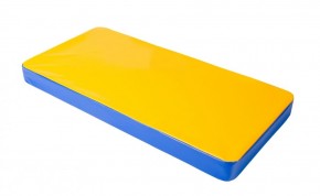 Мат гимнастический 1х0,5х0,08м цв. синий-желтый в Покачах - pokachi.mebel24.online | фото 1