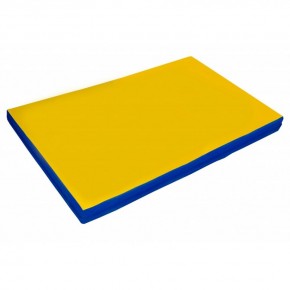 Мат гимнастический 2х1х0,05м цв. синий-желтый в Покачах - pokachi.mebel24.online | фото 1