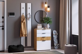 МЕБЕЛЬСОН К21 Прихожая в Покачах - pokachi.mebel24.online | фото