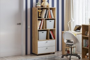 МИЛАН Детская (Дуб Золотой/Белый матовый) в Покачах - pokachi.mebel24.online | фото 53