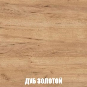 МСП-1 Шкаф 2-х створчатый (Дуб Золотой/Камень темный) в Покачах - pokachi.mebel24.online | фото 4