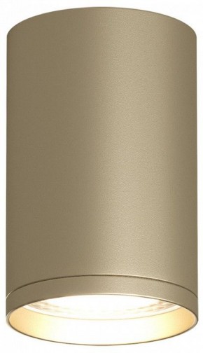 Накладной светильник Denkirs TUBE DK2050-SG в Покачах - pokachi.mebel24.online | фото 2