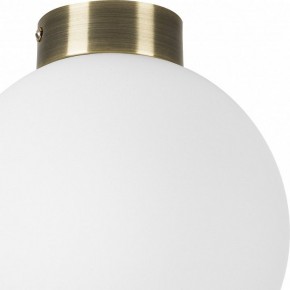 Накладной светильник Lightstar Globo 812021 в Покачах - pokachi.mebel24.online | фото 3
