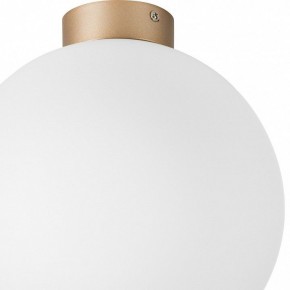 Накладной светильник Lightstar Globo 812033 в Покачах - pokachi.mebel24.online | фото 2