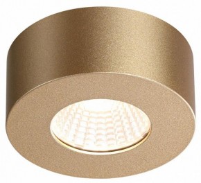 Накладной светильник Odeon Light Bene 4284/7CL в Покачах - pokachi.mebel24.online | фото 4