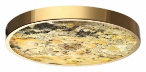 Накладной светильник Odeon Light Bergi 5079/40L в Покачах - pokachi.mebel24.online | фото 2