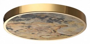 Накладной светильник Odeon Light Bergi 5079/40L в Покачах - pokachi.mebel24.online | фото 4