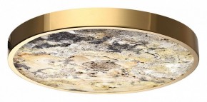 Накладной светильник Odeon Light Bergi 5079/40L в Покачах - pokachi.mebel24.online | фото 6