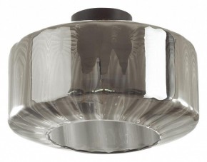 Накладной светильник Odeon Light Binga 4746/1C в Покачах - pokachi.mebel24.online | фото 2