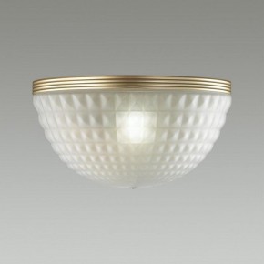 Накладной светильник Odeon Light Malaga 4936/1W в Покачах - pokachi.mebel24.online | фото 2