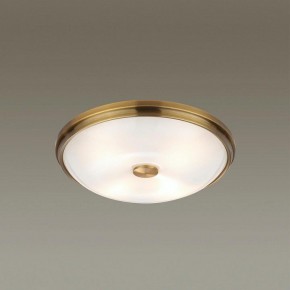 Накладной светильник Odeon Light Pelow 4956/4 в Покачах - pokachi.mebel24.online | фото 2