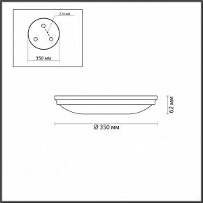 Накладной светильник Odeon Light Pelow 4956/4 в Покачах - pokachi.mebel24.online | фото 3