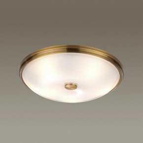 Накладной светильник Odeon Light Pelow 4956/5 в Покачах - pokachi.mebel24.online | фото 2