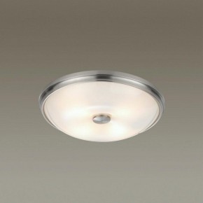 Накладной светильник Odeon Light Pelow 4957/4 в Покачах - pokachi.mebel24.online | фото 2