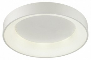 Накладной светильник Odeon Light Sole 4062/50CL в Покачах - pokachi.mebel24.online | фото 3