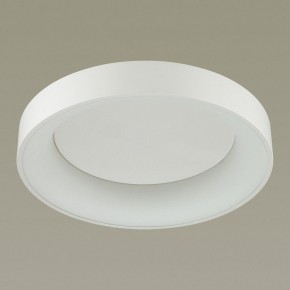 Накладной светильник Odeon Light Sole 4062/50CL в Покачах - pokachi.mebel24.online | фото 4