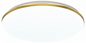 Накладной светильник Sonex Lassa 3043/DL в Покачах - pokachi.mebel24.online | фото 2