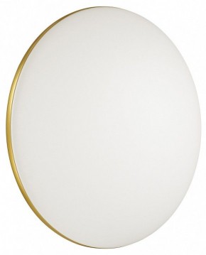 Накладной светильник Sonex Lassa 3043/DL в Покачах - pokachi.mebel24.online | фото 4