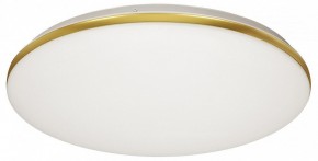 Накладной светильник Sonex Lassa 3043/DL в Покачах - pokachi.mebel24.online | фото 5