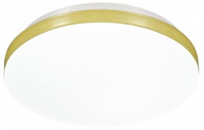Накладной светильник Sonex Smalli 3066/AL в Покачах - pokachi.mebel24.online | фото 4