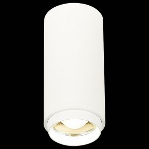 Накладной светильник ST-Luce Zoom ST600.542.10 в Покачах - pokachi.mebel24.online | фото 3