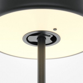 Настольная лампа декоративная Maytoni AI Collaboration MOD229TL-L3B3K2 в Покачах - pokachi.mebel24.online | фото 5