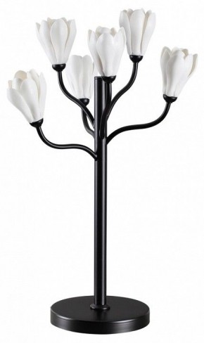 Настольная лампа декоративная Odeon Light Gardi 5090/6T в Покачах - pokachi.mebel24.online | фото