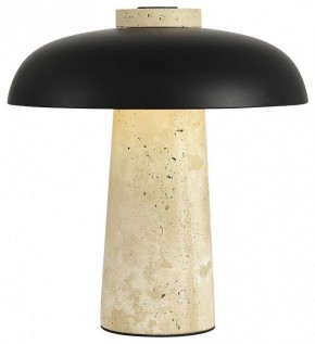 Настольная лампа декоративная ST-Luce Earthy SL1194.424.01 в Покачах - pokachi.mebel24.online | фото 3