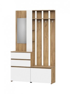 НЕКСТ 1 Вешалка с зеркалом + Шкаф 2-х ств. с ящиками в Покачах - pokachi.mebel24.online | фото 4