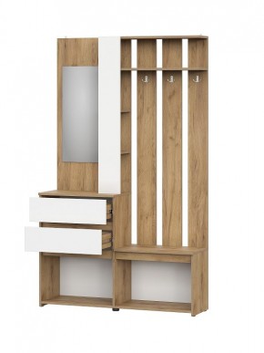 НЕКСТ 1 Вешалка с зеркалом + Шкаф 2-х ств. с ящиками в Покачах - pokachi.mebel24.online | фото 5