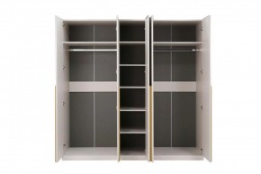 НИКОЛЬ 25 Шкаф 5-ти створчатый в Покачах - pokachi.mebel24.online | фото 3