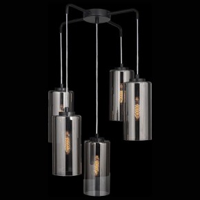 Подвесная люстра 33 идеи PND169S PND169S.05.17.001.BL-S16GR в Покачах - pokachi.mebel24.online | фото 2