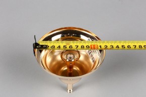 Подвесная люстра Aployt Daniele APL.701.03.12 в Покачах - pokachi.mebel24.online | фото 6