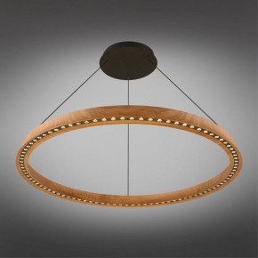 Подвесная люстра Aployt Justyna APL.787.03.75 в Покачах - pokachi.mebel24.online | фото 11