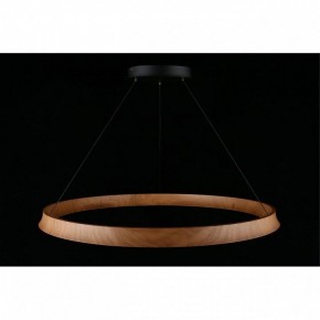 Подвесная люстра Aployt Justyna APL.787.03.75 в Покачах - pokachi.mebel24.online | фото 12