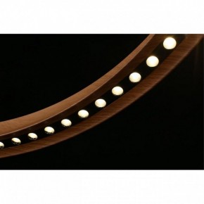 Подвесная люстра Aployt Justyna APL.787.03.75 в Покачах - pokachi.mebel24.online | фото 15